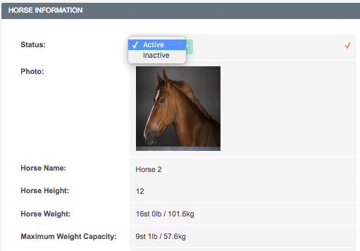 Horses Screenshot
