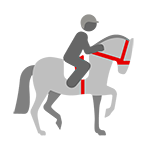 Horse Riding Icon