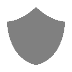 Shield Icon